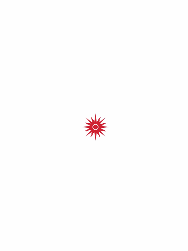 多哈 2030 会徽的横向与竖向组合