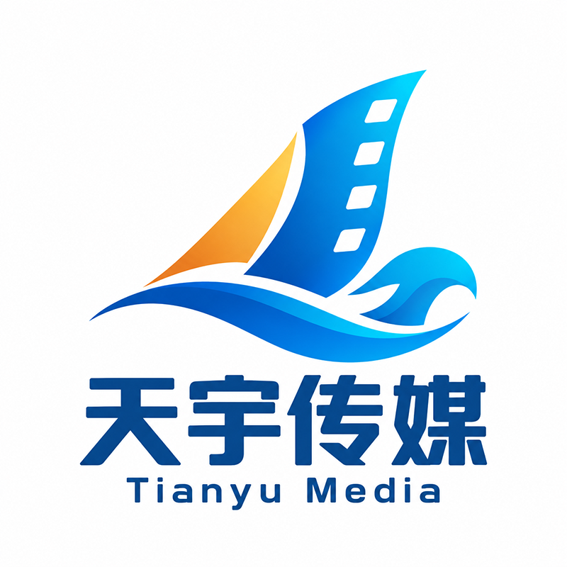天宇传媒logo设计方案