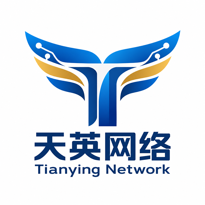 天英网络logo设计方案